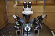 Scientists at the University of Missouri used this microscope to discover that a neuron’s own electrical signal, or voltage, can indicate whether the neuron is functioning normally. If that voltage is absent, scientists say everything is “out of whack.”